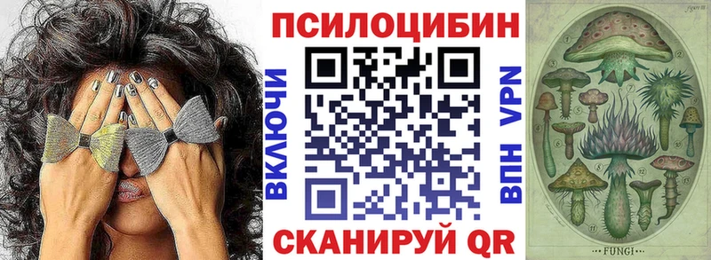 Псилоцибиновые грибы MAGIC MUSHROOMS  Купить закладки  Елец 