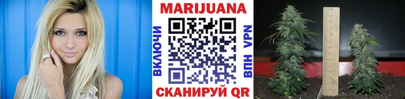 Купить закладки  Елец  МАРИХУАНА AK-47 